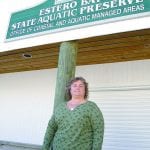 article image - 
